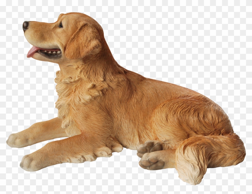 Vivid Arts Resin Lying Golden Retriever - Golden Retriever Transparent Laying On Back Clipart #2140085