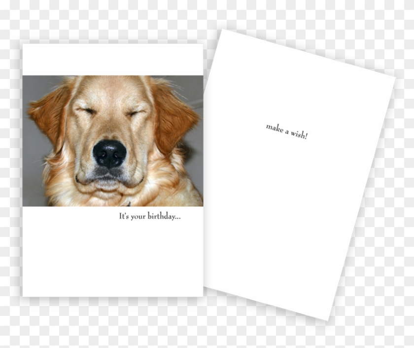 1747 - Golden Retriever Retirement Cards Clipart