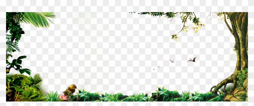 1620 X 600 61 0 - Forest Frame Clipart #2140287