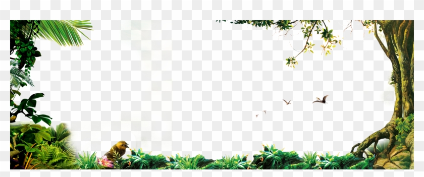 1620 X 600 61 0 - Forest Frame Clipart