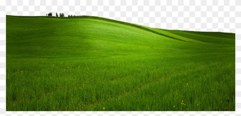 Hill Png Transparent Images Pluspng Green Grass - Grass Clipart #2140610