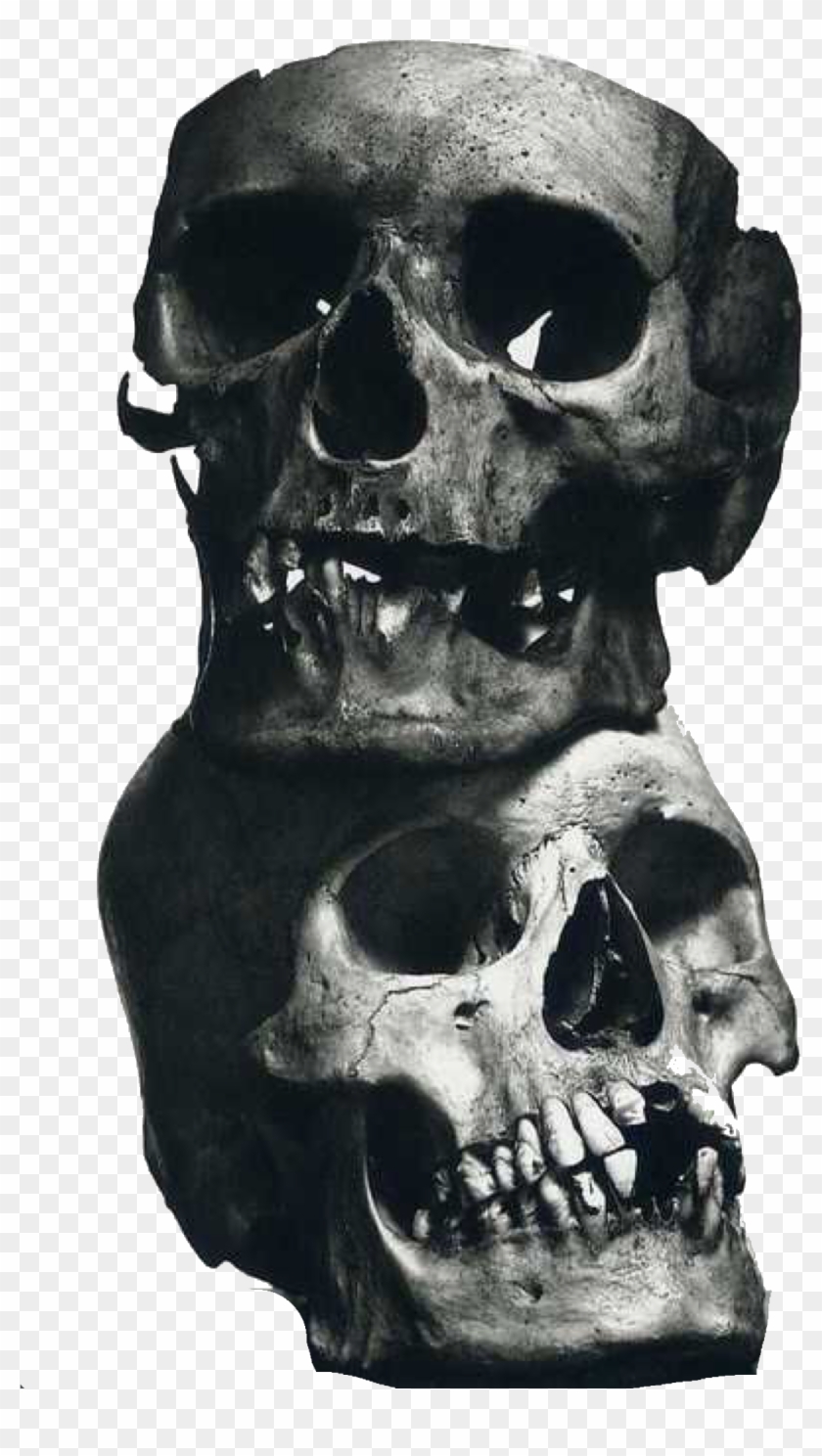 If I Had To Pick One Photographer To Be My Favourite - Irving Penn Clipart