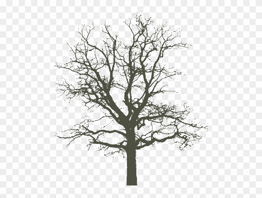 Best Photos Of Tree Cut Out Paper - Henry Fox Talbot Tree Clipart