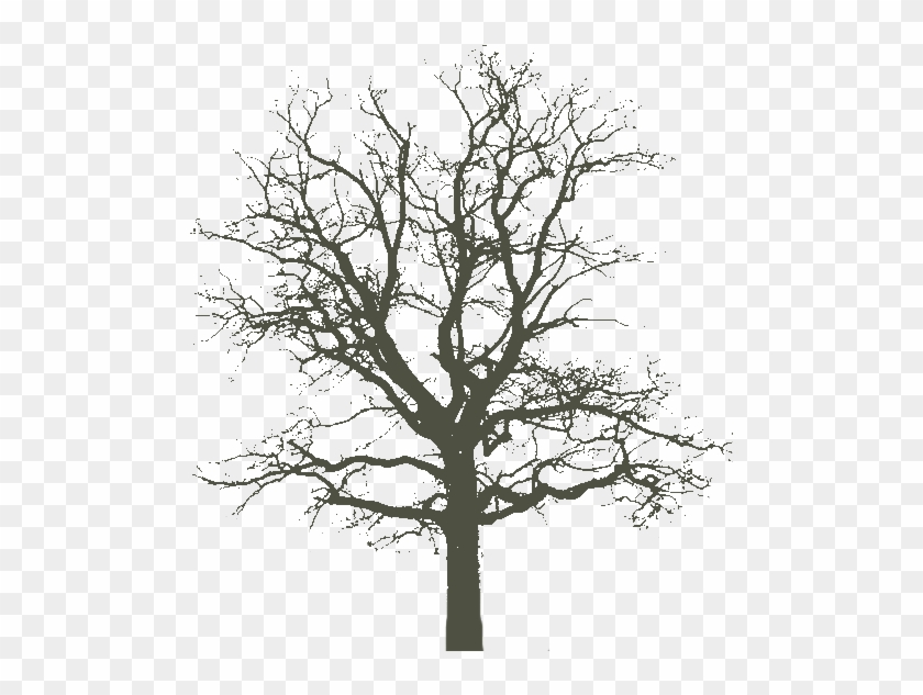 Best Photos Of Tree Cut Out Paper - Henry Fox Talbot Tree Clipart #2142022