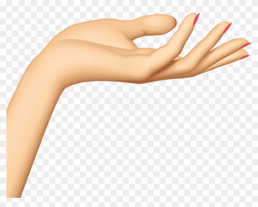 Free Png Download Hand Transparent Clipart Png Photo - Hand Png Art #2142186