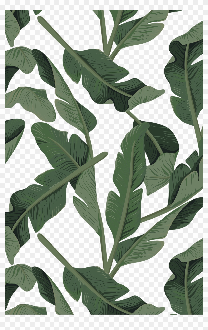 #casetify #iphone #art #design #tropical #vibes - Canvas Clipart