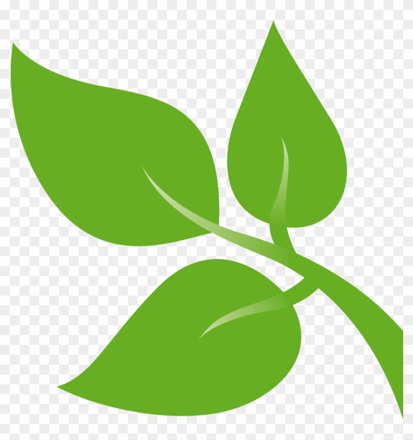 Greens Leaf Films Set Design - Green Leaves For Design Png Clipart #2142625