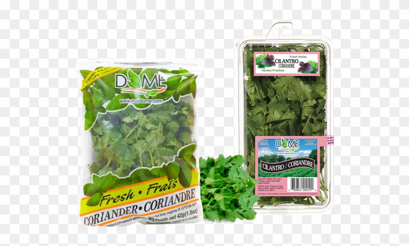 Spinach Clipart