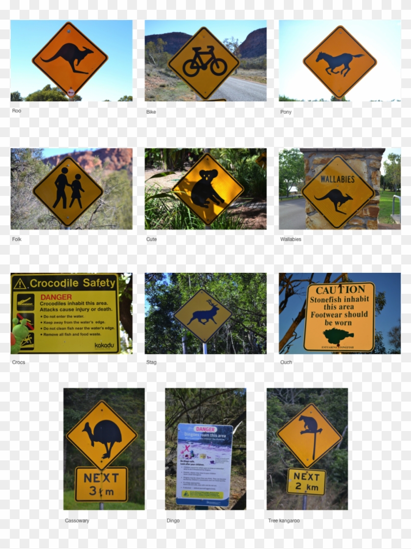 Australian Wildlife Warning Signs - Cape Tribulation, Queensland Clipart #2143799