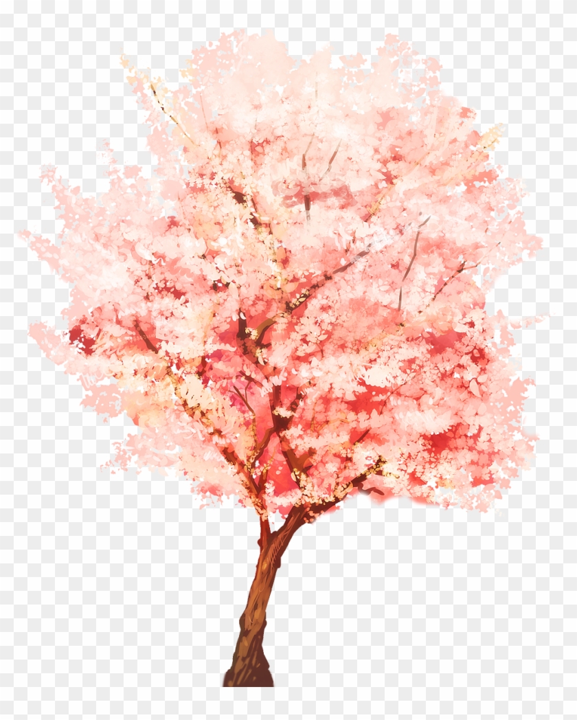 Sketchup Plant Webtoon Painting - Maple Clipart #2143968