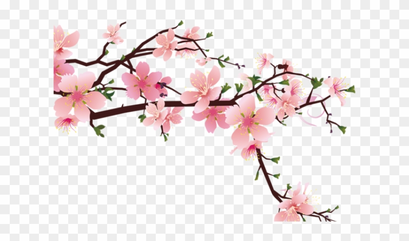 Drawn Cherry Blossom Strawberry - Peach Blossom Drawing Png Clipart #2144008