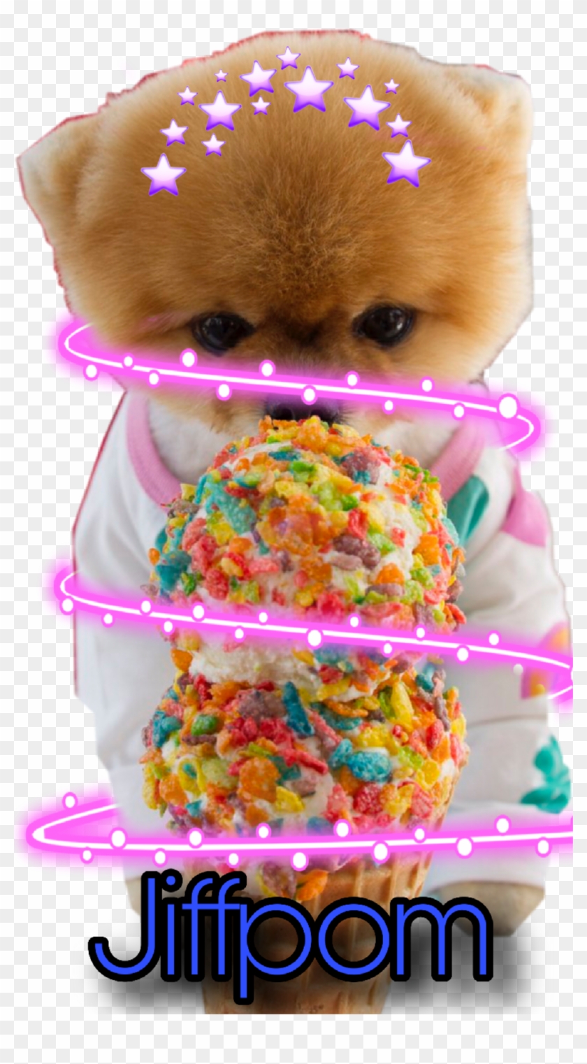 I Love Jiffpom - Pomeranian Clipart #2146168