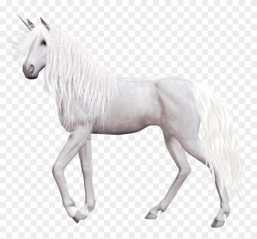 Белый Конь На Чёрном Фоне Clipart #2146430