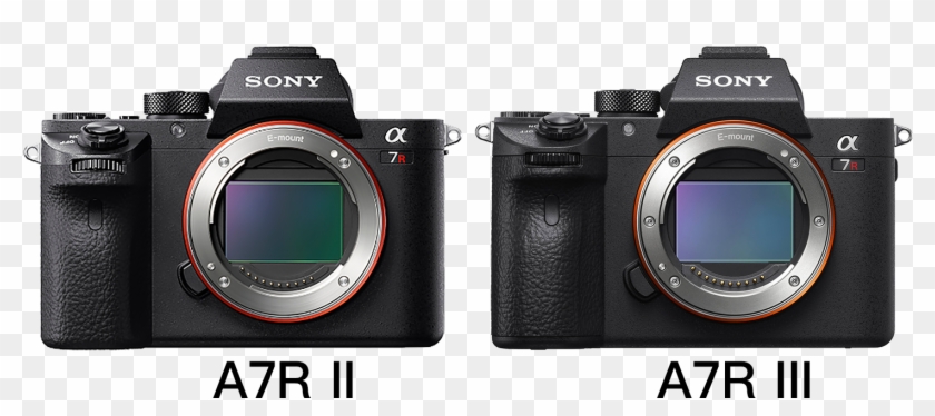 Head To Head, The Sony A7r Iii Vs Sony A7r Ii - Sony Alpha A7r Iii Png Clipart