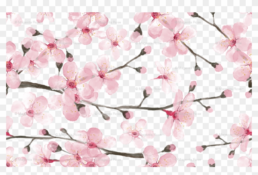 Cherry Blossom Watercolor // Cherry Blossom Floral - Watercolor Cherry Blossom Pattern Clipart