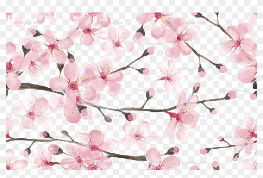 Cherry Blossom Watercolor // Cherry Blossom Floral - Watercolor Cherry Blossom Pattern Clipart #2147105