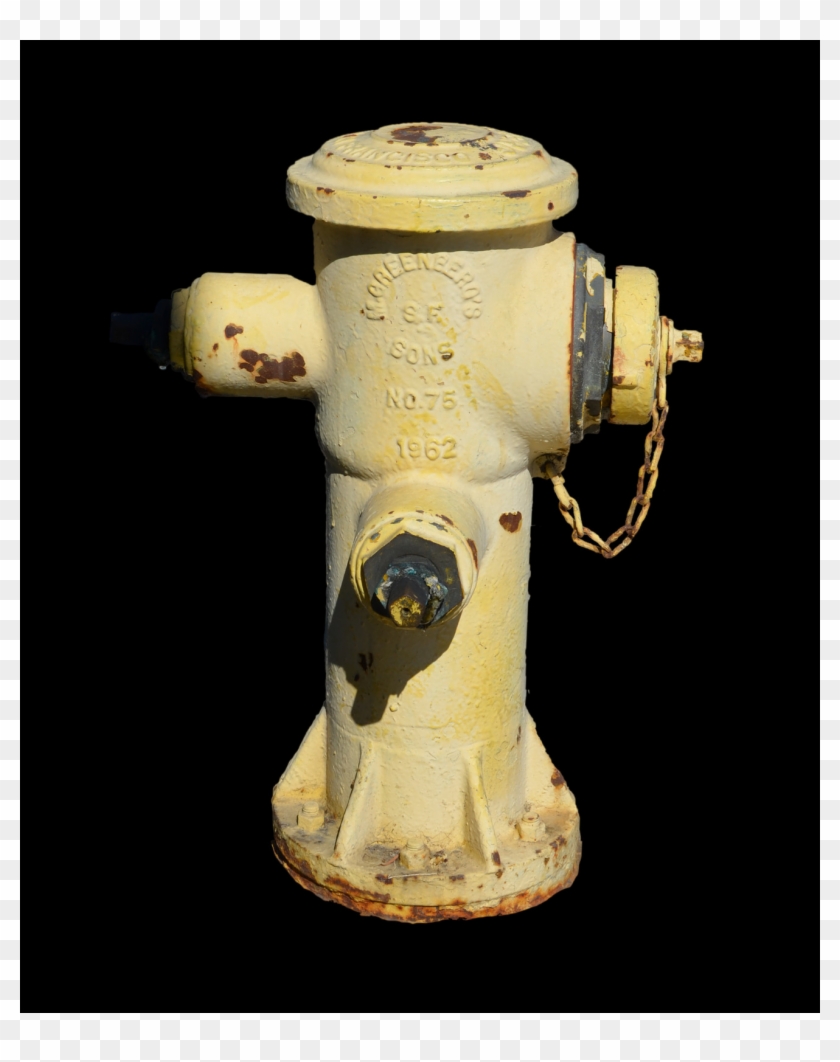 Still Life Photography Clipart #2148592