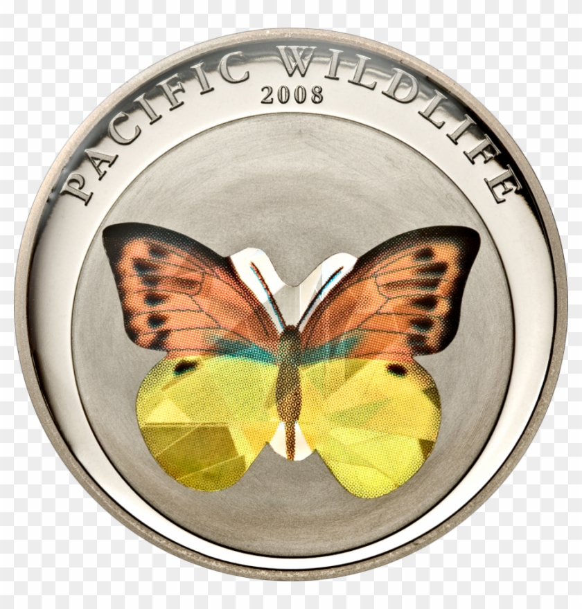 Orange/yellow Butterfly - Riodinidae Clipart