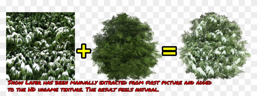 Snow Layer Has Been Extracted From First Picture And - River Birch Clipart