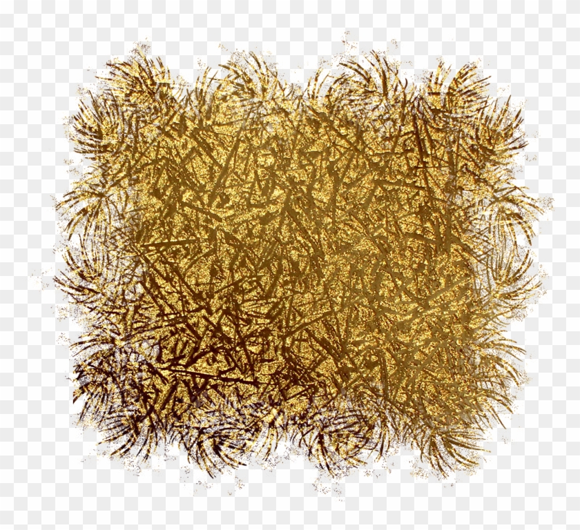 Seaweed Clipart #2151907