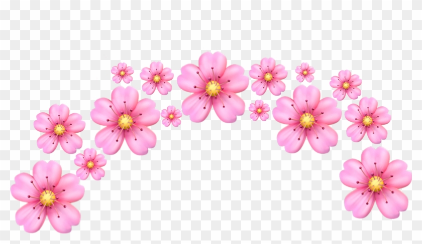 Tumblr Flower Pink Png Tumblr Transparent Pink Petals Clipart 2153133 Pikpng tumblr flower pink png tumblr