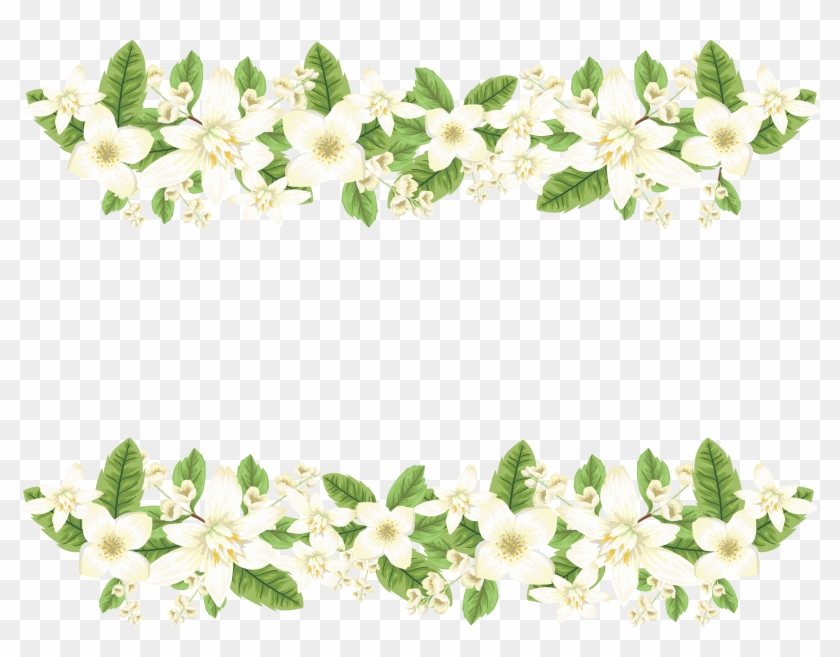 Jasmine Clipart
