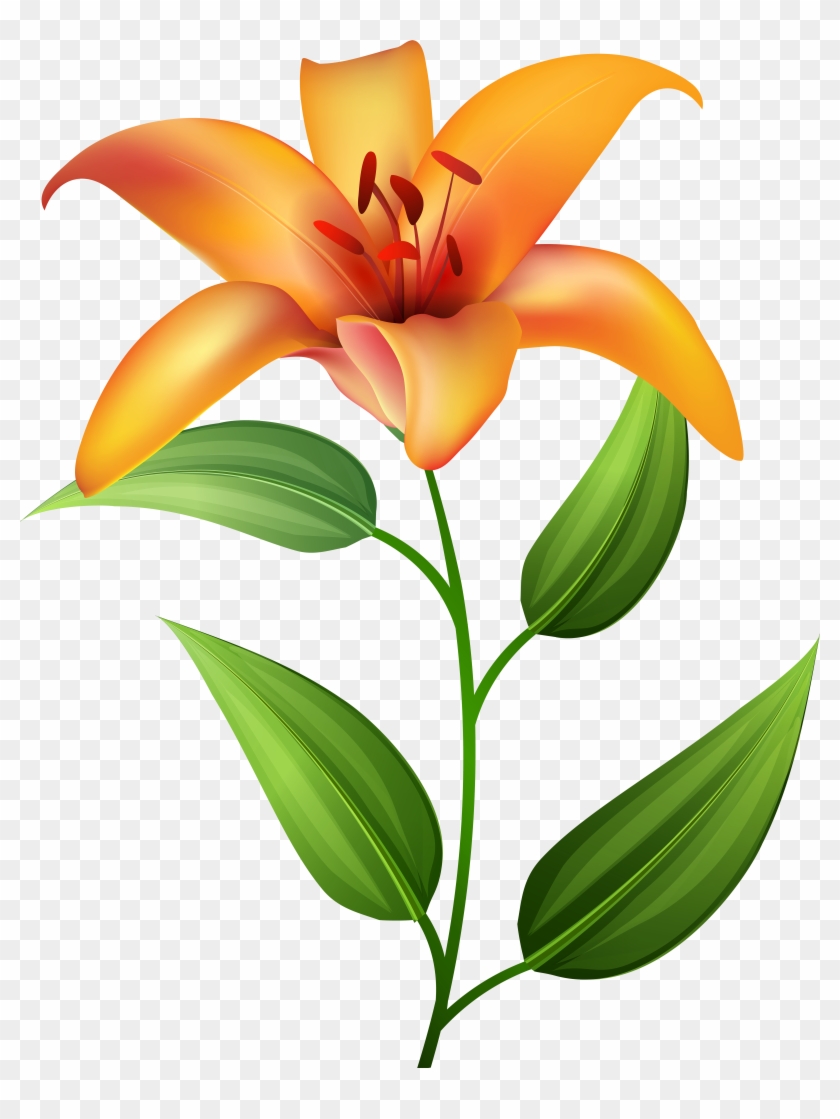 Easter Lily Border Clipart - Png Download