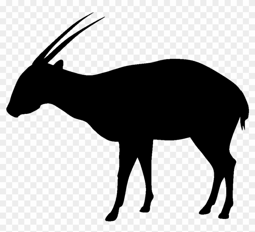 Make A Silhouette - Springbok Clipart