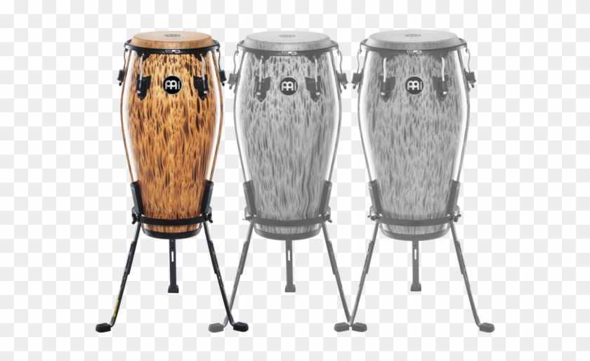 Marathon® Designer Series Conga Clipart #2155235