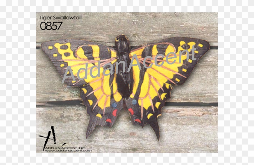Tiger Swallowtail Butterfly Ornament - Papilio Machaon Clipart #2155638