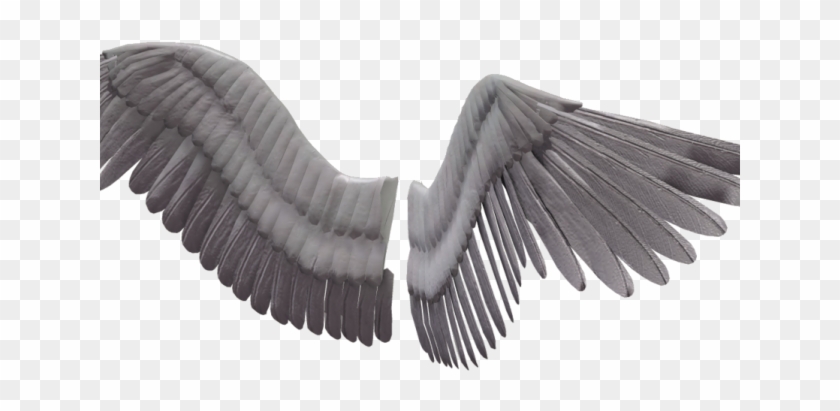 Dark Angel Clipart Real - Angel Wings No Background - Png Download #2155702