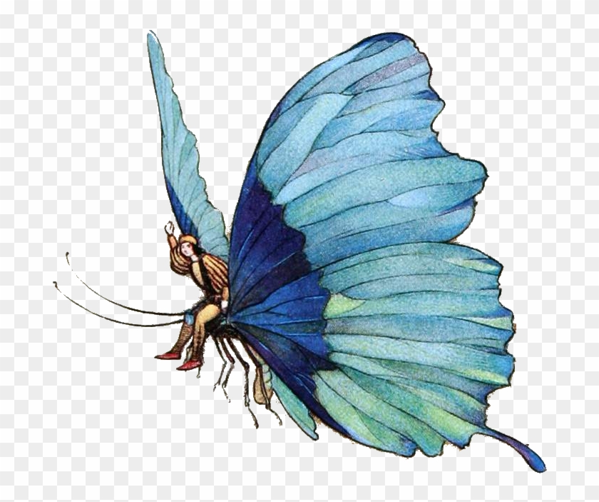 Fairy Tails At Charcon Confluence Meta Rpg - Butterfly Tails Clipart