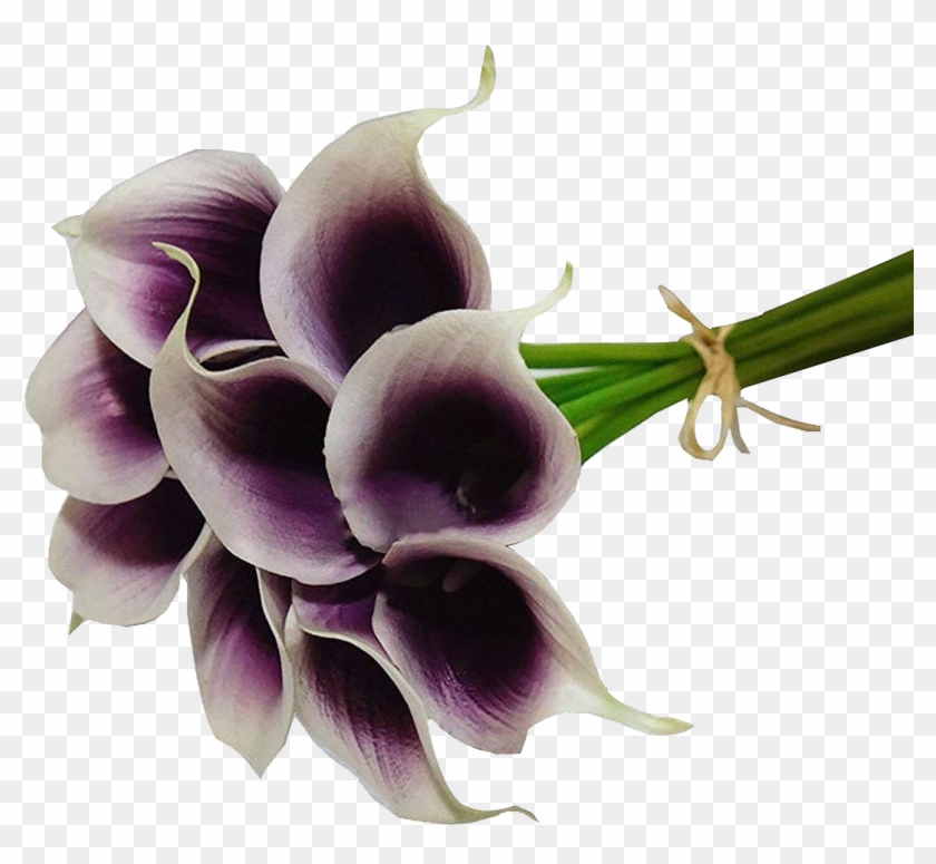 Lily Flower Png Clipart #2156287