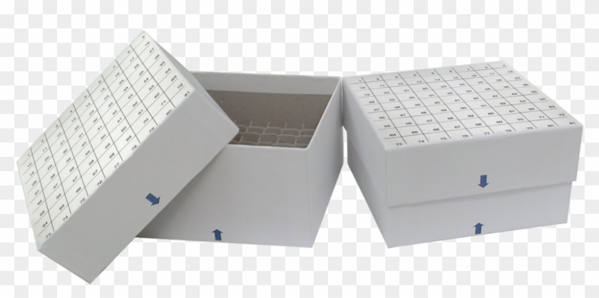 Standard White ” Fiberboard Boxes With Grid Lines And - Carton Clipart