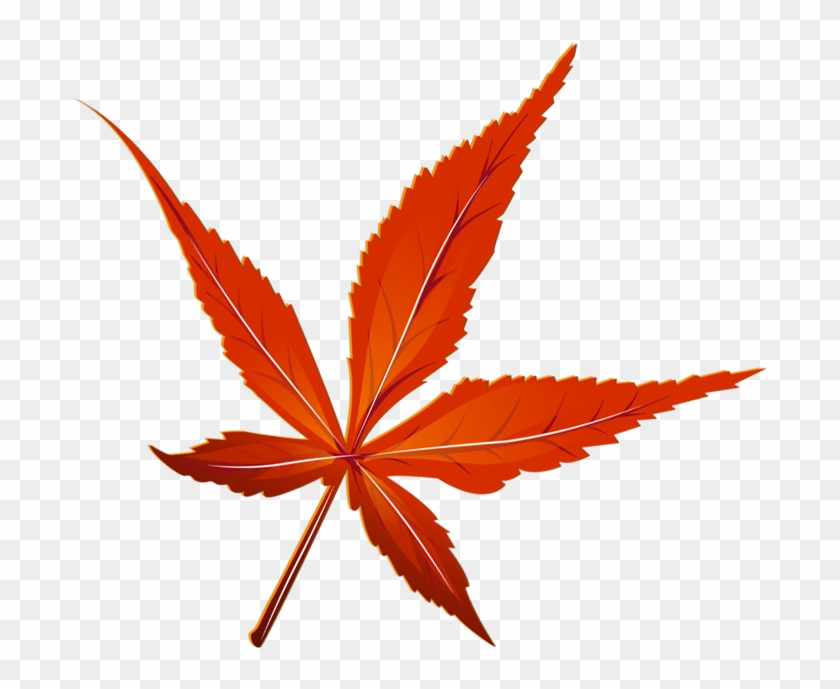 Transparent Leaf Red - Maple Leaf Clipart #2158995