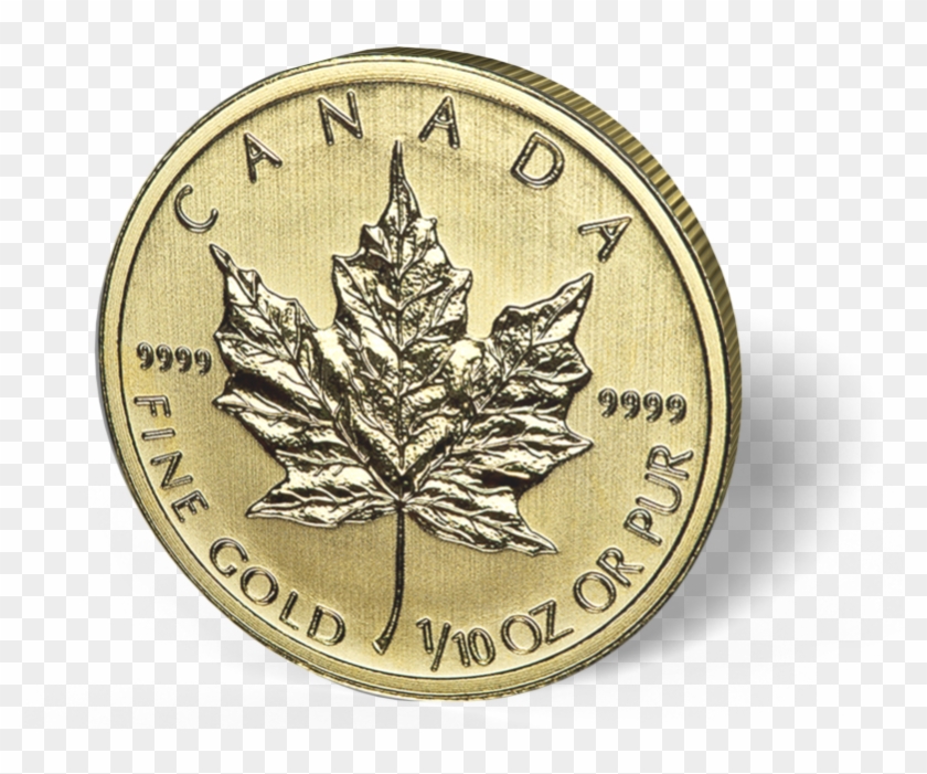 Picture Of 1/10 Oz Canadian Gold Maple Leaf Clipart