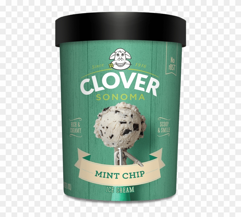Mint Chocolate Chip Ice Cream - Ice Cream Clipart