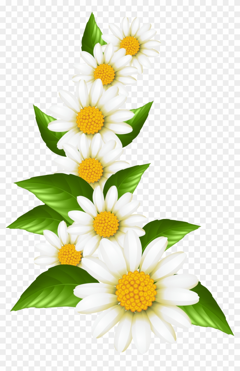 Confetti Clipart, Confetti Borders, Digital Confetti, - Transparent Background Daisies Clip Art - Png Download