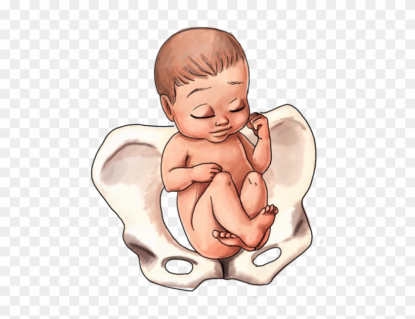 Breech Baby Position - Baby Hand Position In Womb Clipart #2160104