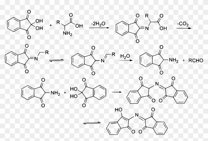 This Free Icons Png Design Of Ninhydrin Reaction Mechanism - Ninhydrin Reaction Mechanism Clipart #2162612