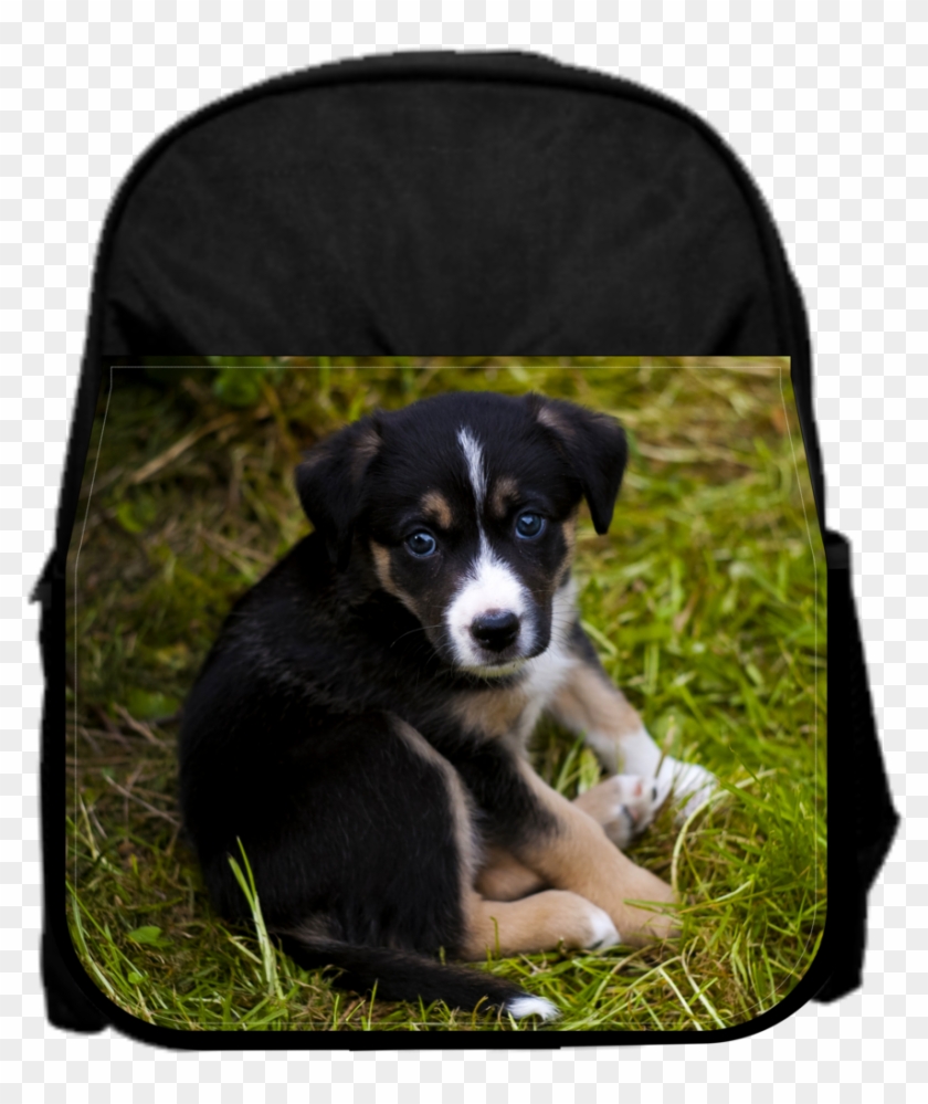 Sad Puppy 13" X 10" Black Preschool Toddler Children's - Puppy Clipart #2163389