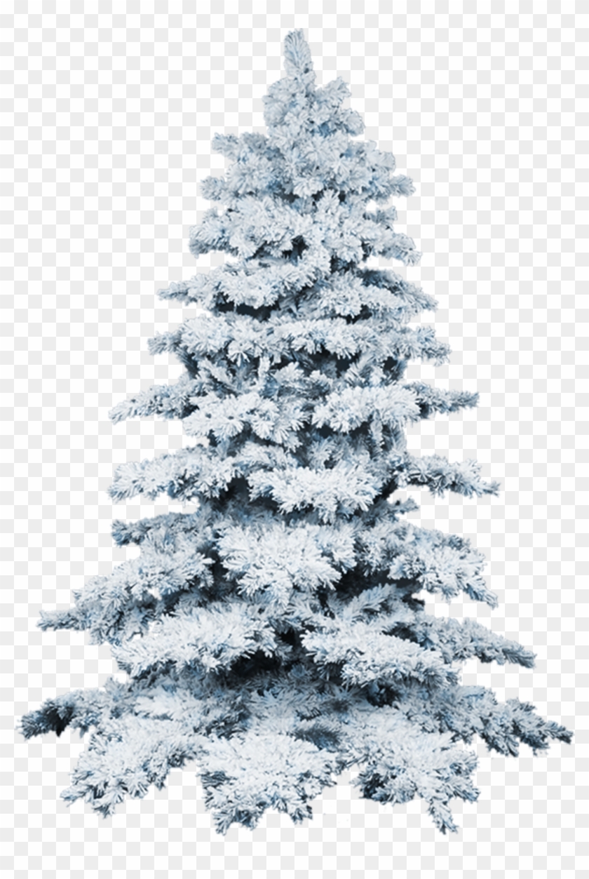#ftestickers #winter #snow #tree - Sapin Enneigé Png Clipart