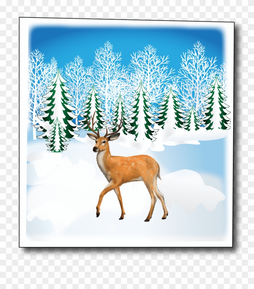 Deer On Frozen Lake Snow Trees Christmas Card Cc530 - Food Chain Grass Deer Lion Clipart #2163630