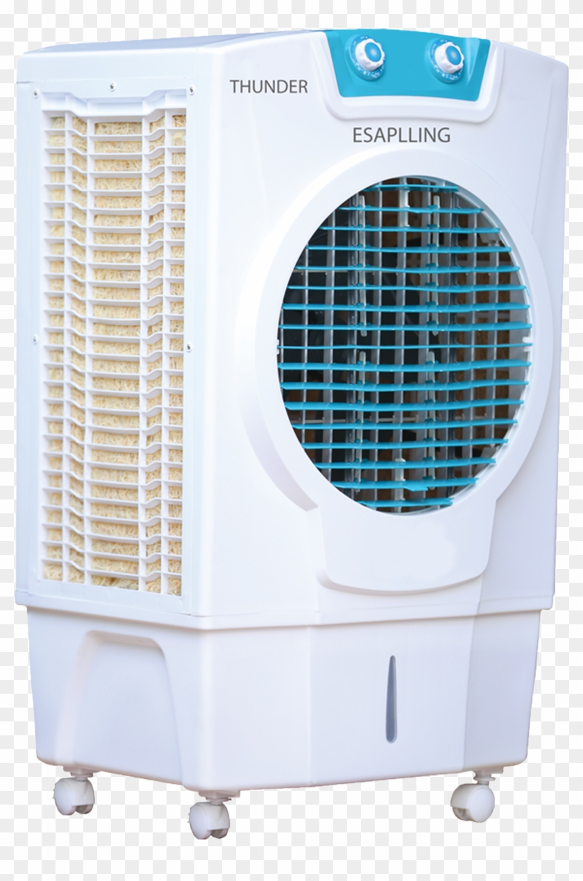 vego thunder cooler price