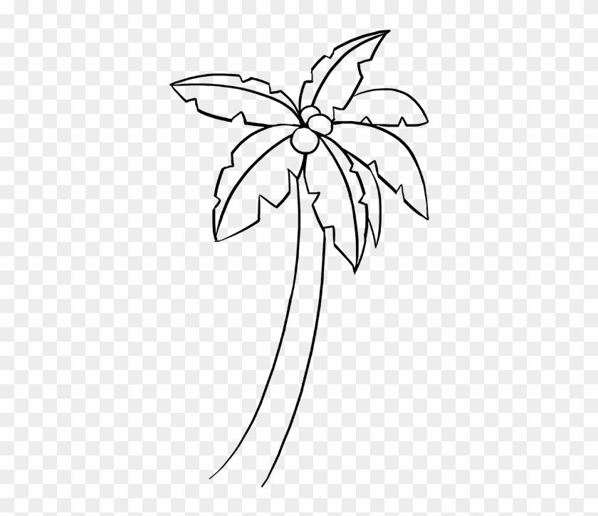 680 X 678 4 - Easy To Draw Palm Tree Clipart #2165558