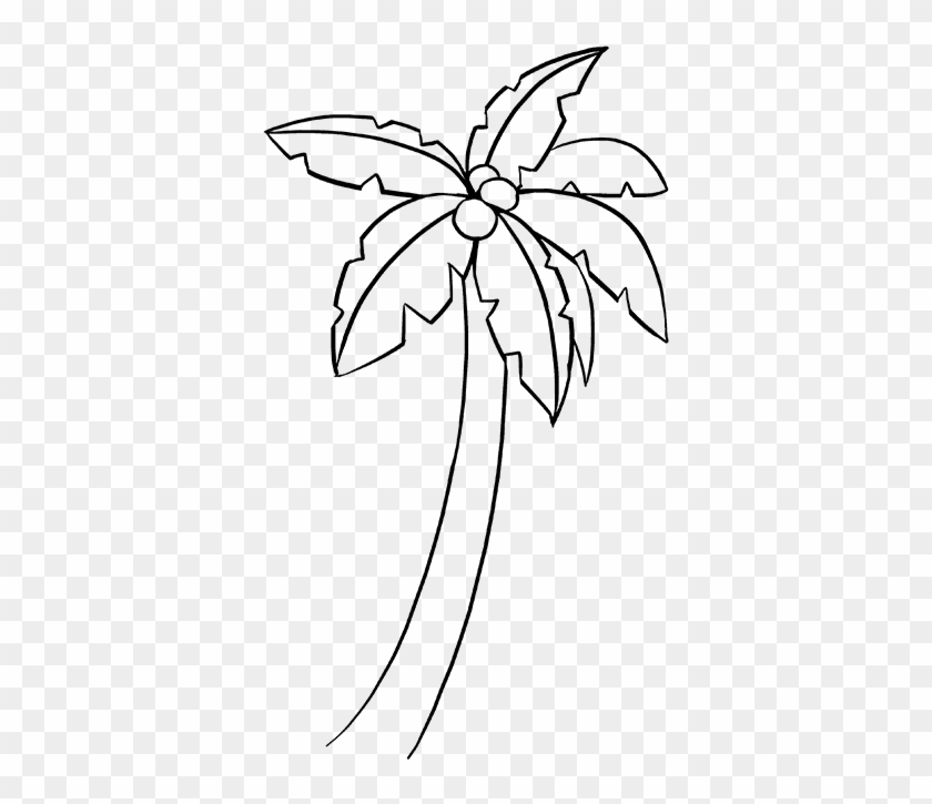 680 X 678 4 - Easy To Draw Palm Tree Clipart