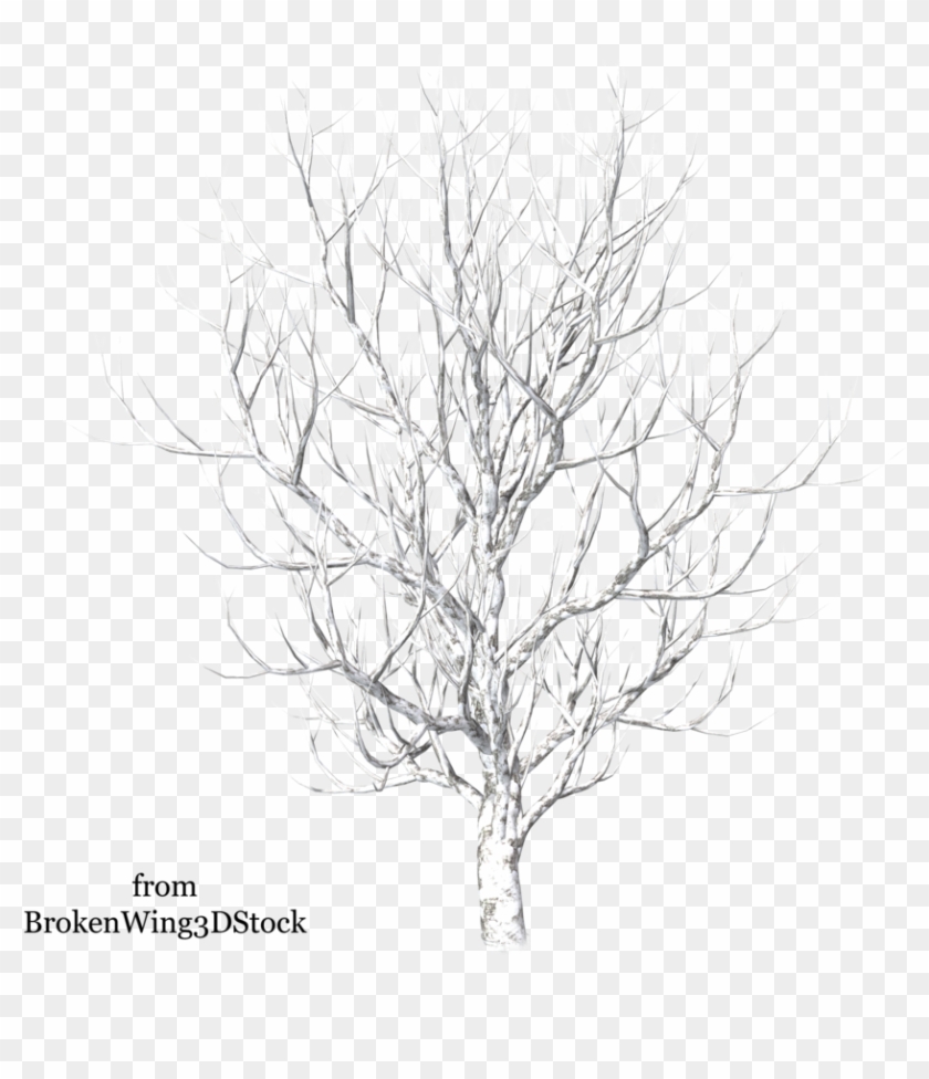 Pc Img, , Backgrounds Desk - Winter Snow Tree Png Clipart #2165745