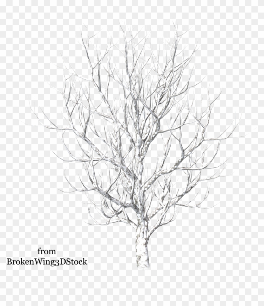 Pc Img, , Backgrounds Desk - Winter Snow Tree Png Clipart