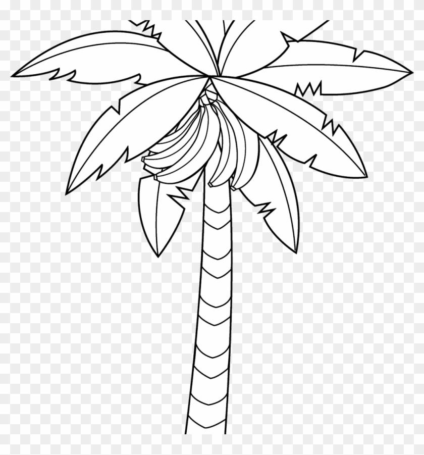 Banana Tree Drawing Outstanding Vector Hand Of In Large - Banana Tree Drawing Easy Clipart