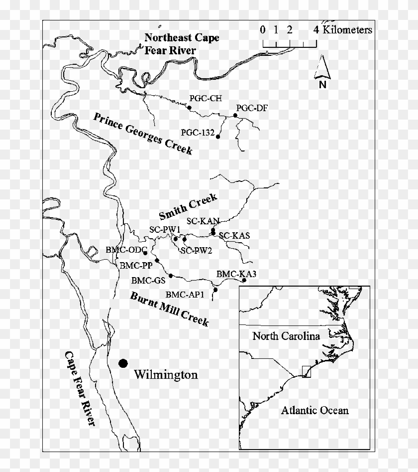 North Carolina Adobe Illustrator Map With Counties, - New Hanover Usa Clipart